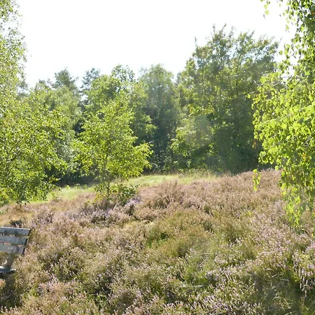 Schaeferwagen Auf'm Minibauernhof In Holiday home Munster im Heidekreis