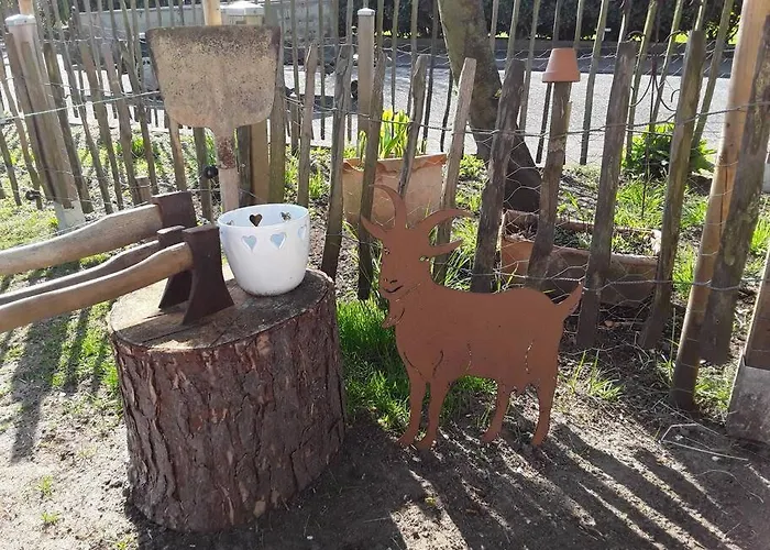 Schaeferwagen Auf'm Minibauernhof In Дом отдыха *