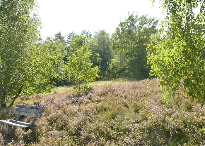 Schaeferwagen Auf'm Minibauernhof In Дом отдыха Мунстер